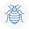 Bed Bug Extermination In West Bridgford